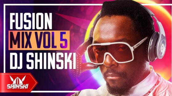 Dj Shinski - Fusion Video Mix Vol 5